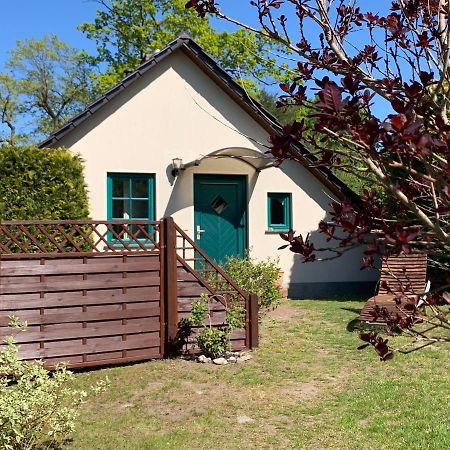 „Rentmeisterhaus Basedow“ Basedow  Exterior photo